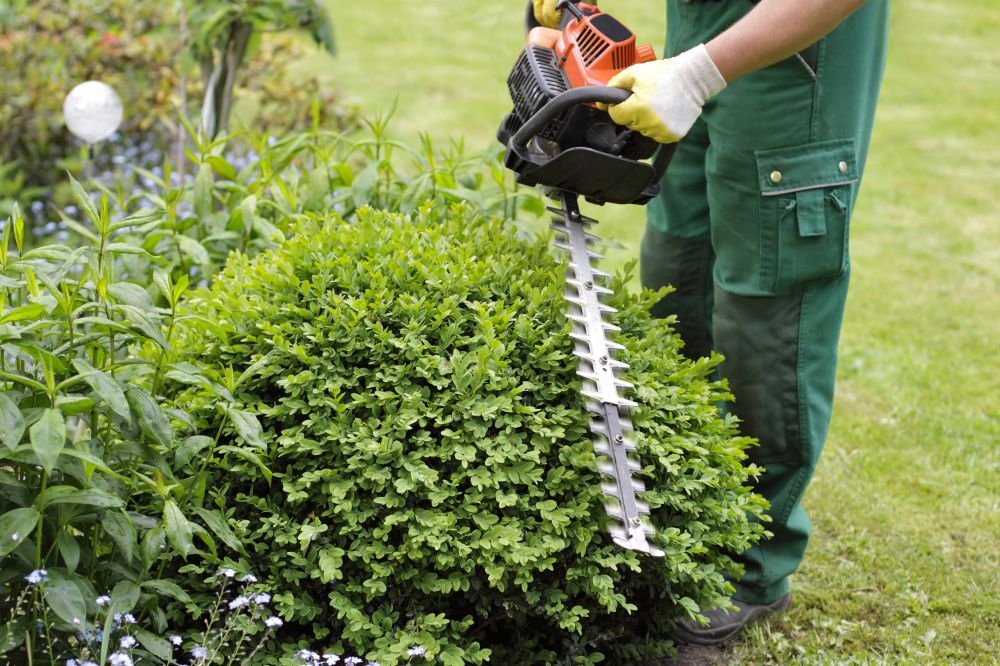 Service de jardinage pour particulier du Finistère Nord